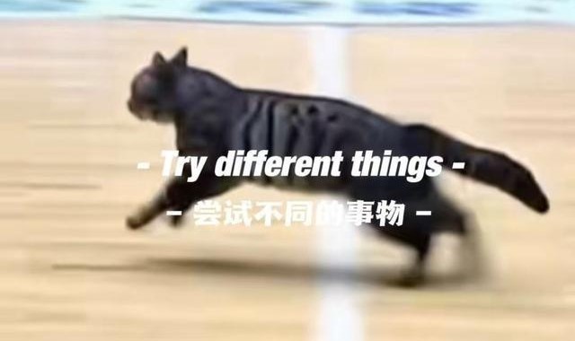 惊现哈基米！广东四川CBA比赛中场地内跑进一只小猫